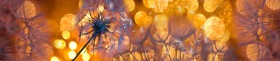 Кухонный фартук Мерцание Одуванчики золотистые 3 серебро в Ангарске - angarsk.katalogmebeli.com | фото